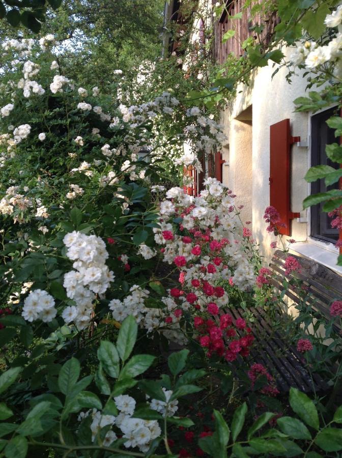 Haus Probst Am See Bed and Breakfast Schondorf am Ammersee Exterior foto