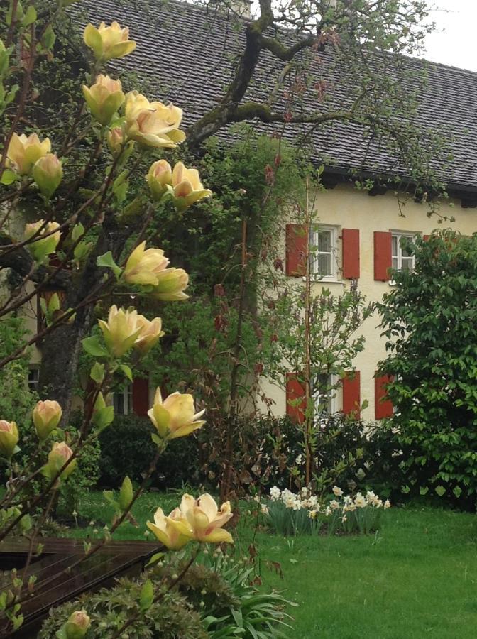Haus Probst Am See Bed and Breakfast Schondorf am Ammersee Exterior foto